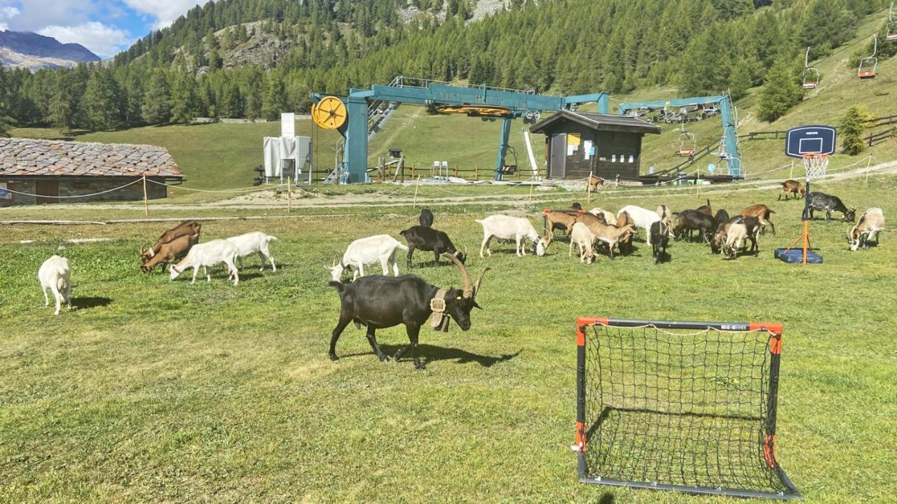 Bar del Lago Chamois Exterior foto